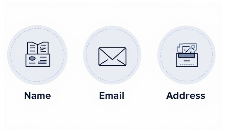 Ilustrație cu date personale sub formă de iconițe, reprezentând nume, email și adresă, simbolizând colectarea de date.